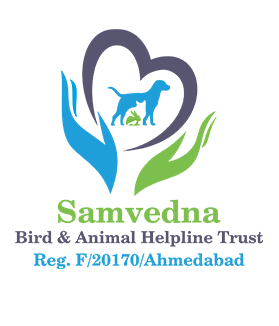 Samvedna Bird & Animal Helpline Trust